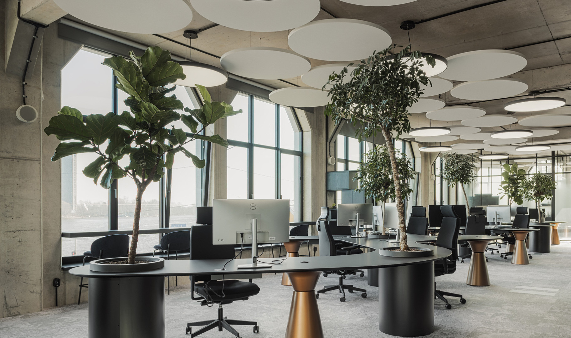 Interior project development