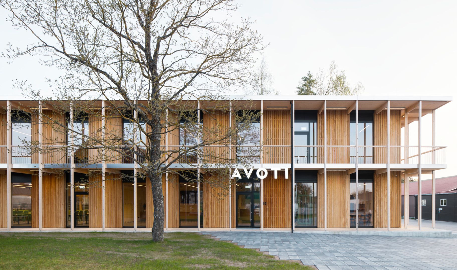 Avoti